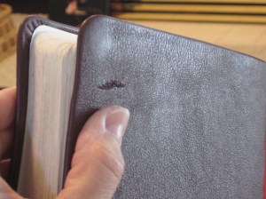 Bible Scar